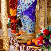 Daily Darshan